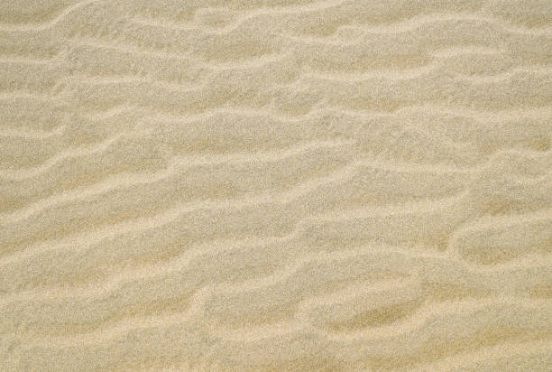 istock Sand dunes at Vietnam 922772842