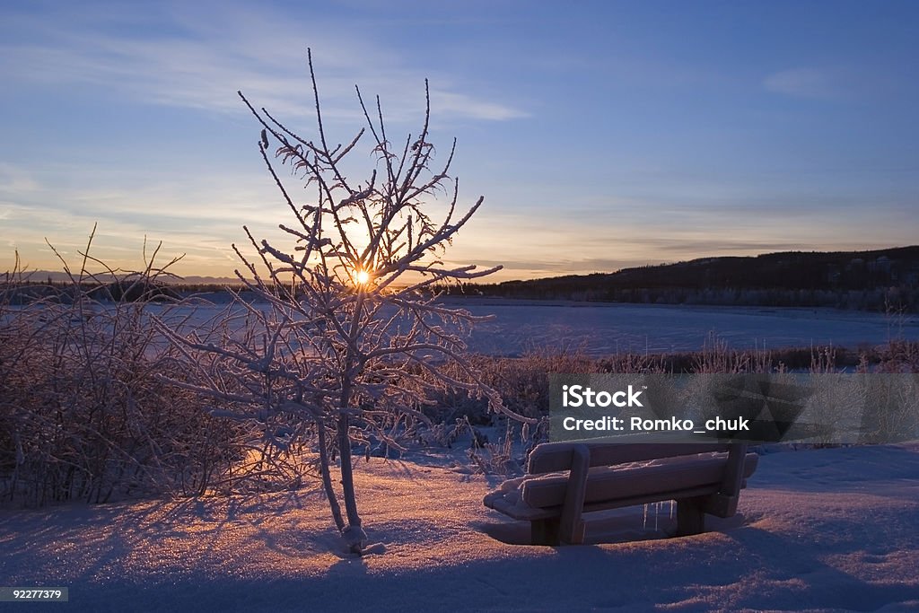 CONGELATO: Tramonto - Foto stock royalty-free di Albero