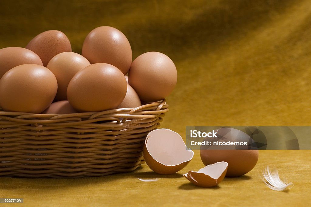 Still Life with Eggs  Animal Egg Stock Photo