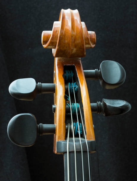 istock closeup of part string instrument cello with snares and scroll 922775438