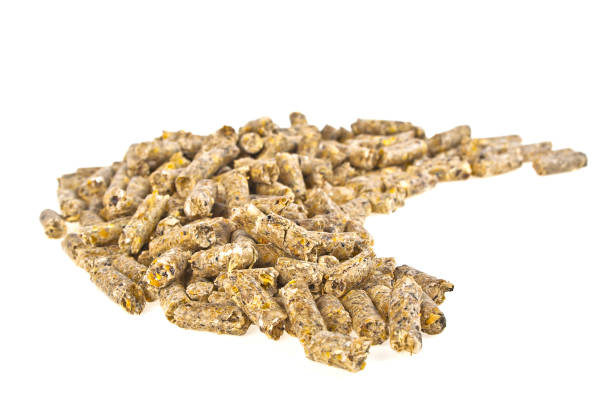istock Pelleted compound feed Isolated on white background, wheatfeed pellets 922776902