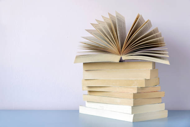 istock Pile of Old Books agaisnt a wall. 922777100