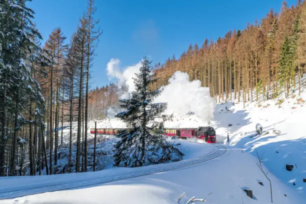 Historical steam train running full speed to Brocken Mountain in Harz region