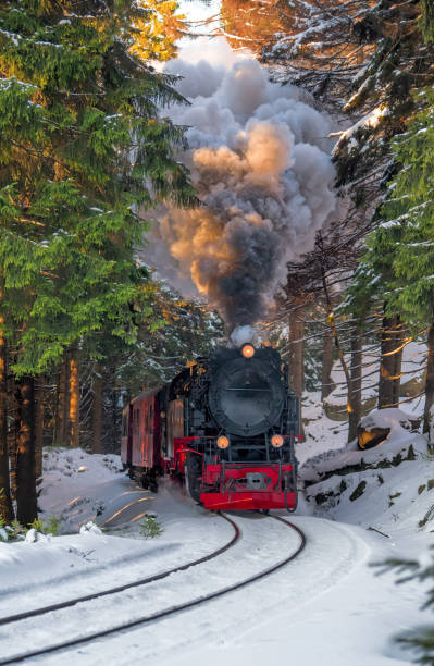 historischen dampfzug voller laufgeschwindigkeit brocken berg in harzregion - locomotive steam train train snow stock-fotos und bilder