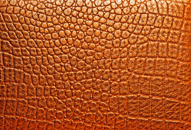 istock Texture of crocodile skin, can use as background 922778898