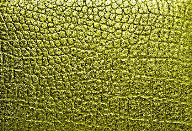 Crocodile golden leather, can use as background