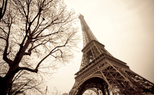 Eiffel tower and tree silhouette. Sepia tone. Digital image taken with Canon EOS 5D MkII. Old Style treatment.