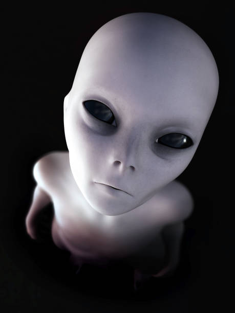 3D rendering of an alien looking up at you. Portrait of a gray alien standing and looking up at you, 3D rendering. Black background. alien grey stock pictures, royalty-free photos & images