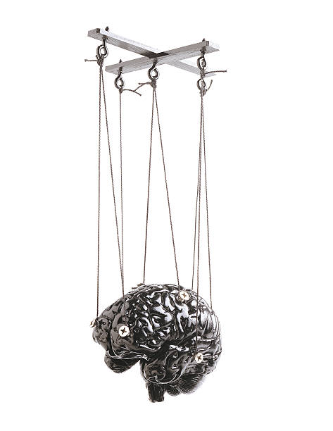 Cerveau Marionnette à fil isolé - Photo