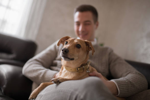 istock Happy young man sitting with his dog at home 922783220