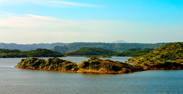 natur reservat albufera des grau - wilderness area stock-fotos und bilder