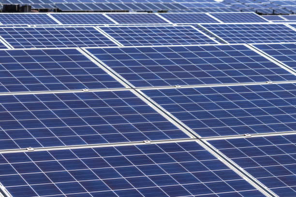 istock Close up rows array of polycrystalline silicon solar cells in solar power plant turn up skyward absorb the sunlight from the sun 922783328
