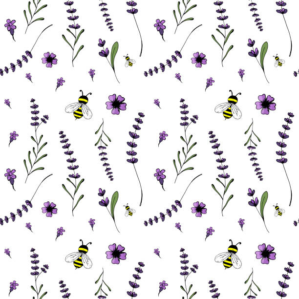 Seamless pattern, lavender theme of Provence vector art illustration