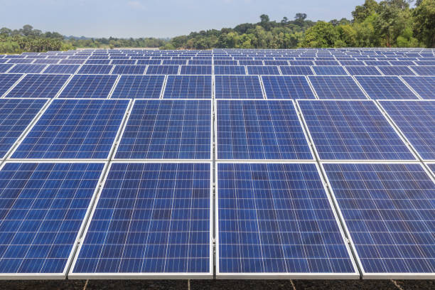 istock Close up rows array of polycrystalline silicon solar cells in solar power plant alternative renewable energy from the sun 922784208