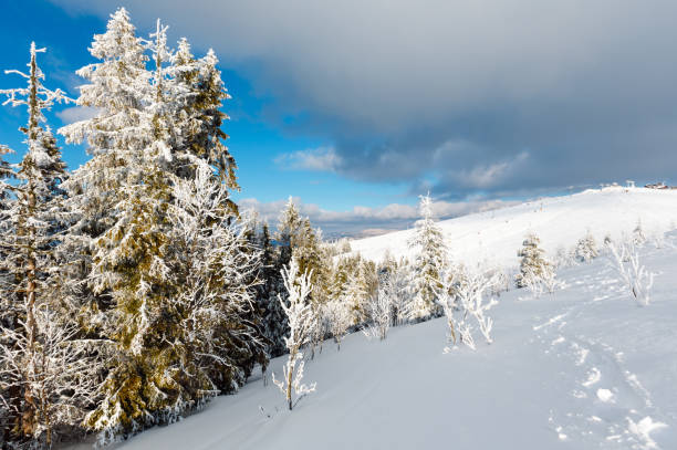 istock Winter mountain snowy landscape 922784298