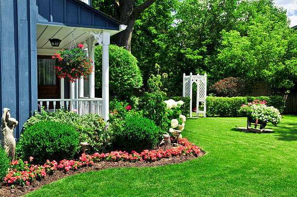 frente quintal de uma casa - flower bed front or back yard ornamental garden flower imagens e fotografias de stock