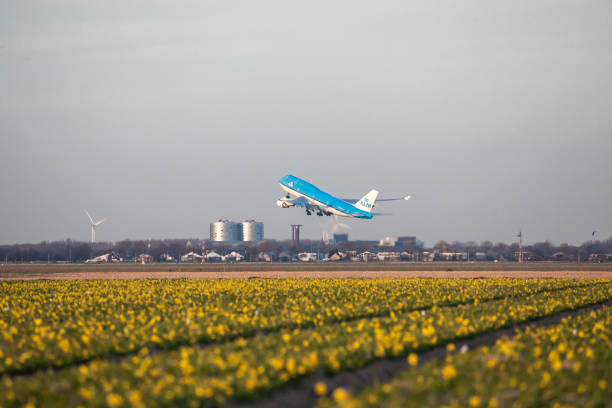 schiphol flughafen nahaufnahme - amsterdam airport stock-fotos und bilder