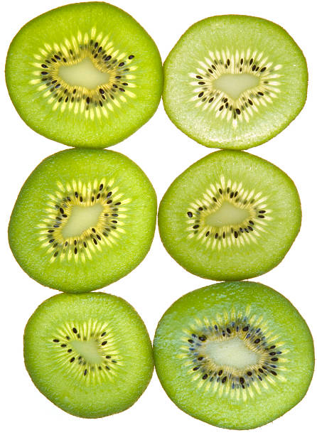 Kiwi Fruit Slices stock photo