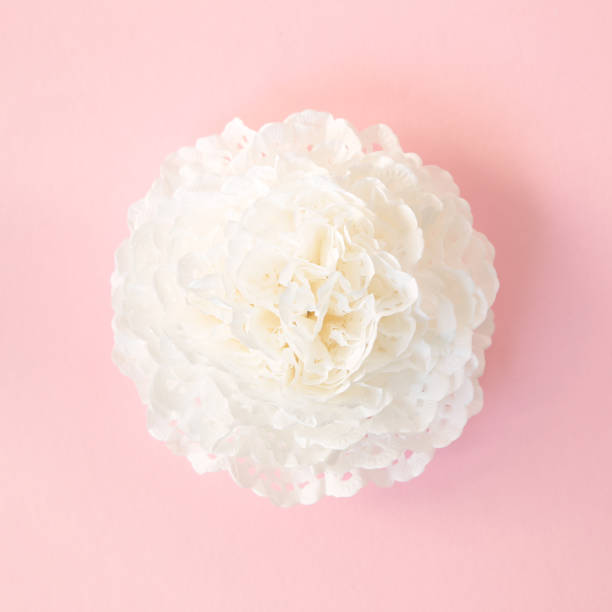 istock Origami flower isolated on pink background 922788266