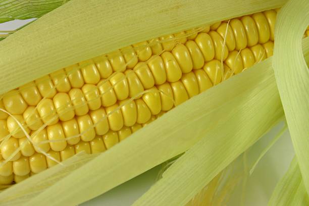 świeżo corn - corn on the cobb zdjęcia i obrazy z banku zdję�ć