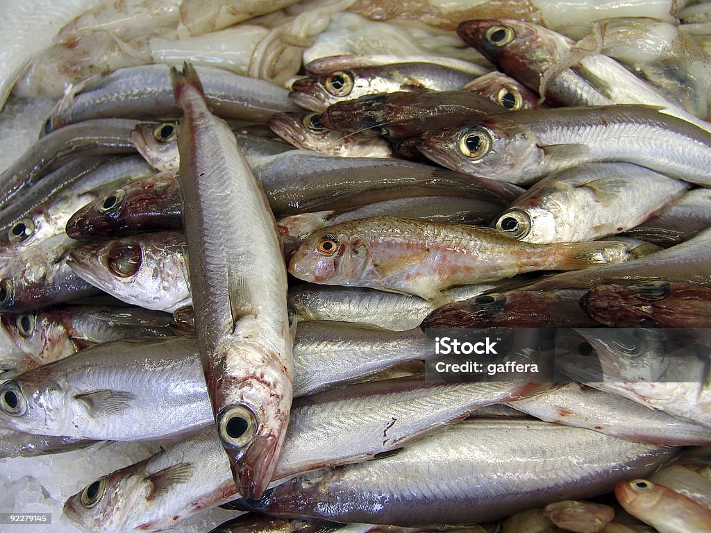 Nahaufnahme von Fisch - Lizenzfrei Abstrakt Stock-Foto