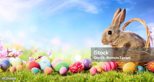 Coniglietto In Cesto Con Uova Decorate Biglietto Di Pasqua - Fotografie stock e altre immagini di Coniglietto di Pasqua
