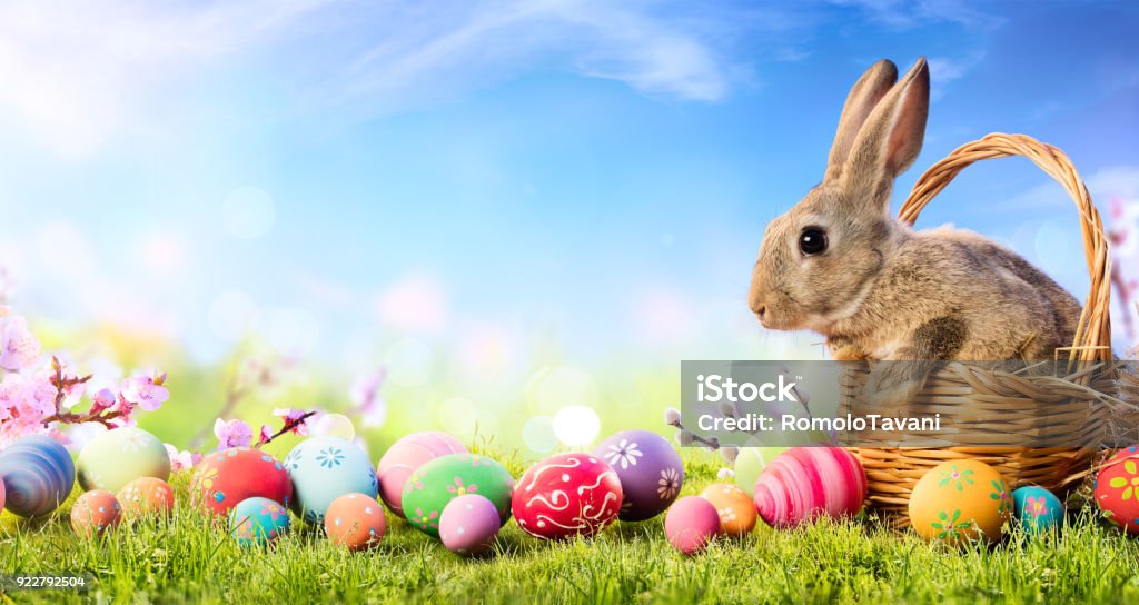 Little Bunny In Basket With Decorated Eggs - Easter Card Bunny In Grass In Sunny Landscape Easter Bunny Stock Photo