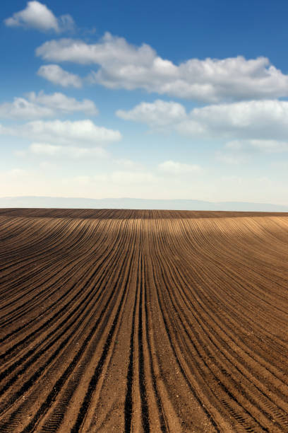 istock plowed field landscape spring season 922796962
