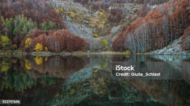 Mountain Trees And Fall Foliage In Perfect Lake Reflections Stock Photo - Download Image Now