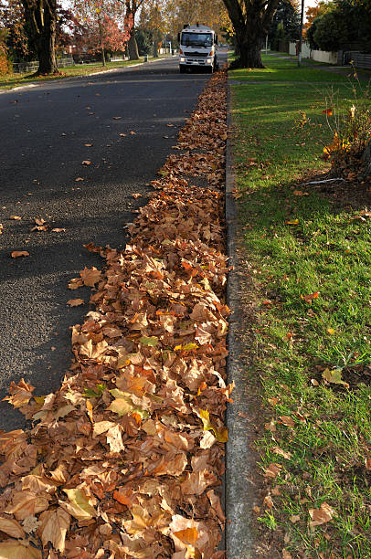 istock street cleaner and leaves 92280003