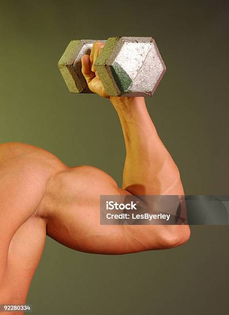 Muscled Arm Holding 20 Pfund Gewicht Stockfoto und mehr Bilder von Bizeps - Bizeps, Hantel, Heben