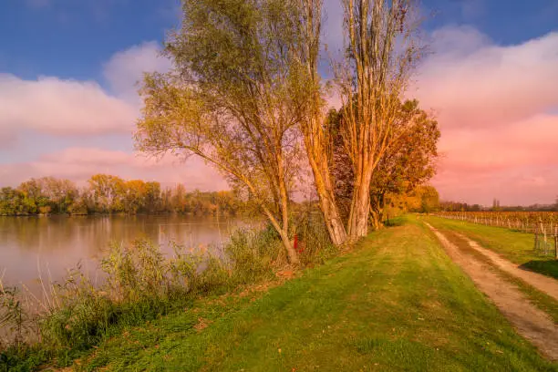 Autumn sunset on a waterway of the Dordogne river near a vineyeard near Bordeaux in France.