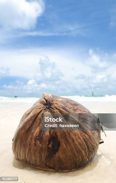 Foto de Coco Na Praia e mais fotos de stock de Areia - Areia, Caribe, Coco