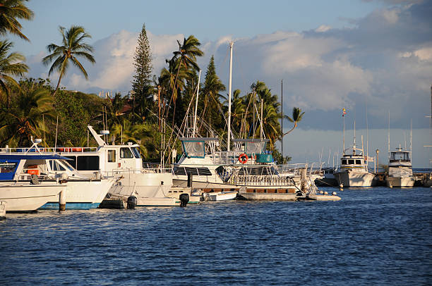 Yachts in Caribbean sea, Varadero, Cuba