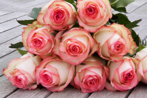 istock Tender roses on old grey wood 922814394