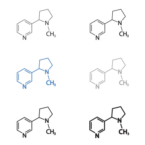 illustrations, cliparts, dessins animés et icônes de la valeur de formule chimique structurale moléculaire de la nicotine. icône de vecteur. - molecular structure molecule formula chemical