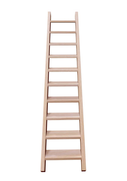 istock Wooden ladder isolated 922816144
