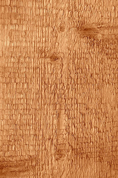 textura de madera - contrasts viewpoint wood wood panelling fotografías e imágenes de stock