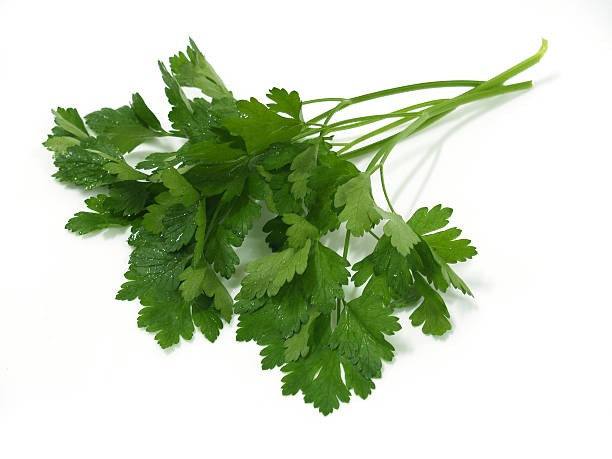 istock Fresh Green Italian Parsley 92282057