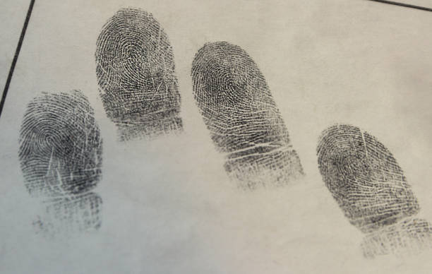 Forensic science Samples of fingerprints isolated on white paper fingerprint photos stock pictures, royalty-free photos & images