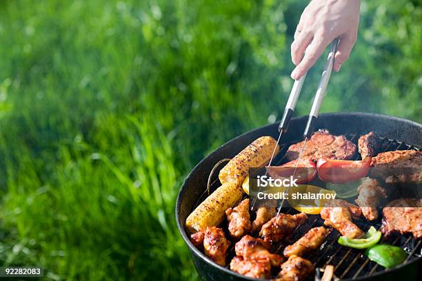 Fresh Meat And Vegetables On Outdoor Grill Stock Photo - Download Image Now - Barbecue Grill, Barbecue - Meal, Summer