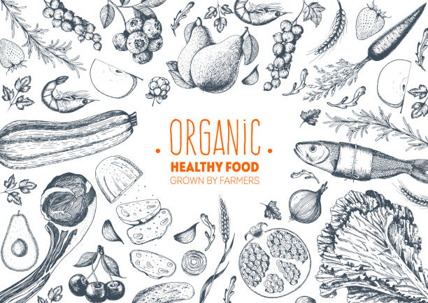 ilustracja wektorowa ramki zdrowej żywności. warzywa, owoce, mięso ręcznie rysowane. zestaw produktów spożywczych ekologicznych. dobre odżywianie. - yummy stock illustrations