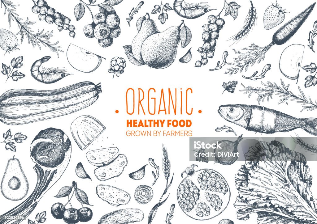 Healthy food frame vector illustration. Vegetables, fruits, meat hand drawn. Organic food set. Good nutrition. Food stock vector
