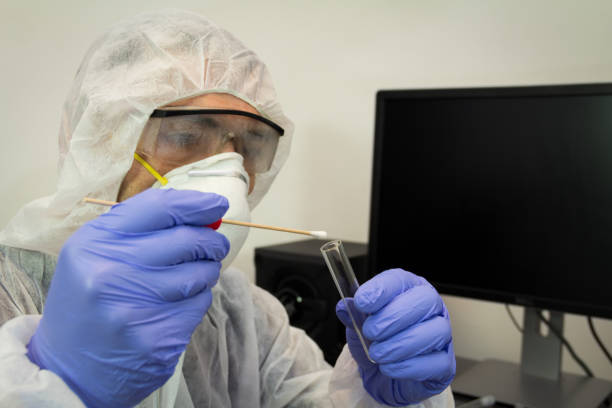 technicien médico-légal, prélever un échantillon biologique dans l’adn - cotton swab dna forensic science collection photos et images de collection