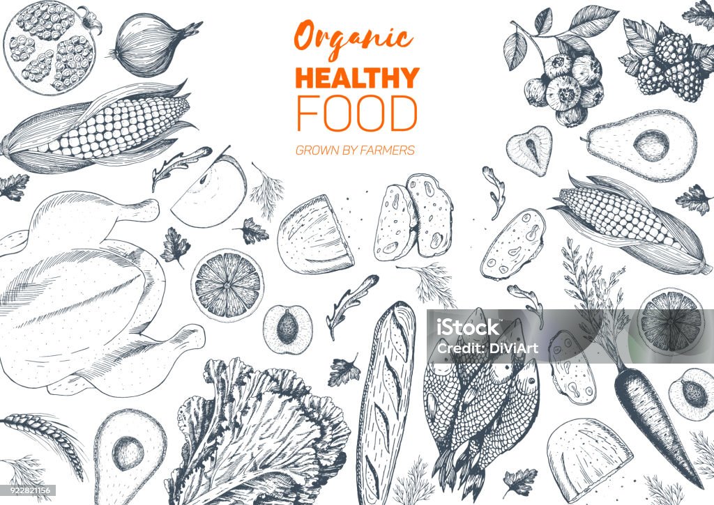 Healthy food frame vector illustration. Vegetables, fruits, meat hand drawn. Organic food set Fish stock vector