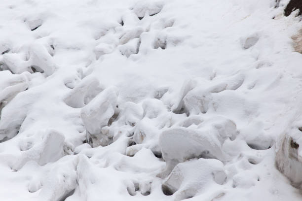 istock Glacier in nature in winter 922821298