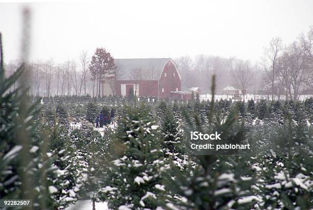Zima Farm - zdjęcia stockowe i więcej obrazów Zima - Zima, Stan Minnesota, York - Stan Maine