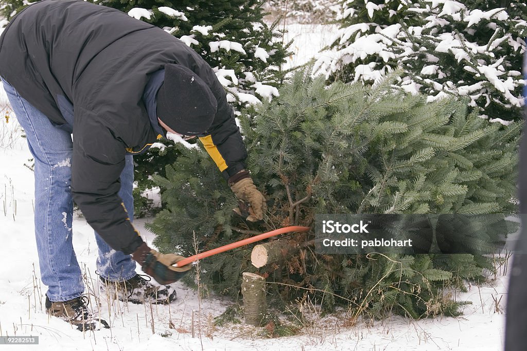 Cięcie wzdłuż Christmas tree - Zbiór zdjęć royalty-free (Choinka)