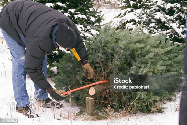 Cięcie Wzdłuż Christmas Tree - zdjęcia stockowe i więcej obrazów Choinka - Choinka, Ciąć, Poruszać się w dół