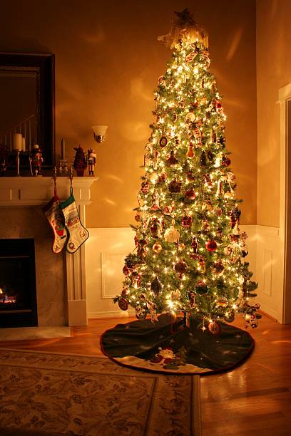 ожидание на рождество - noble fir стоковые фото и изображения